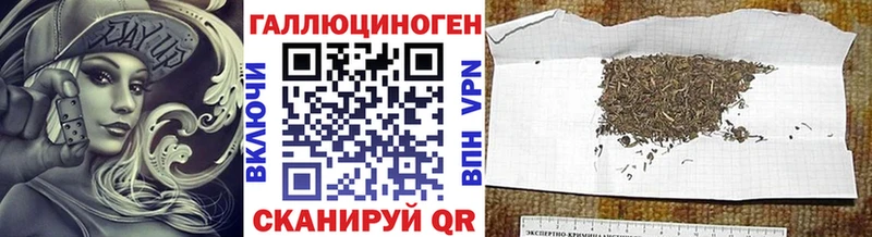 Галлюциногенные грибы Psilocybe  Купить  Гурьевск 