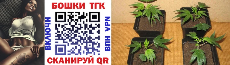 Марихуана планчик Купить Гурьевск